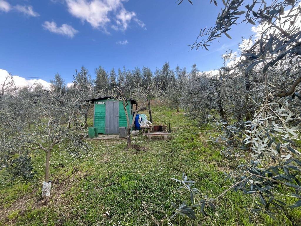 immagine annuncio 2 di 3
