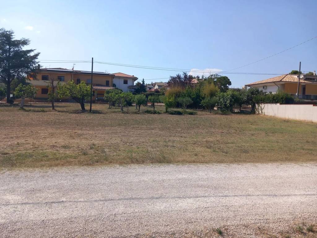 immagine annuncio 2 di 3