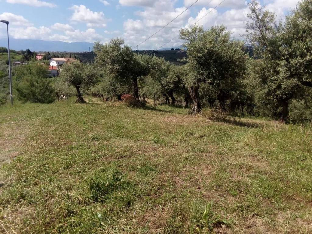 immagine annuncio 2 di 4