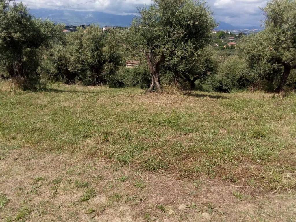 immagine annuncio 3 di 4