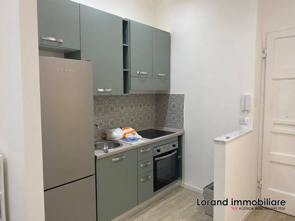 appartamento in affitto a Pisa in zona Lungarni