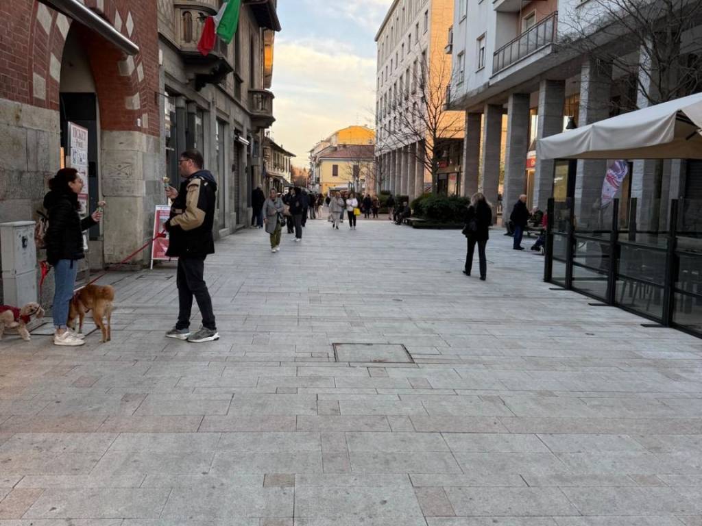 immagine annuncio 3 di 4