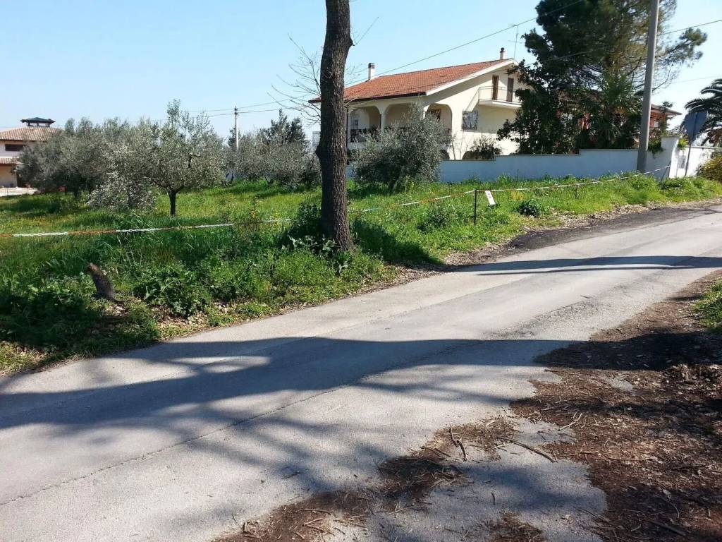 immagine annuncio 1 di 4