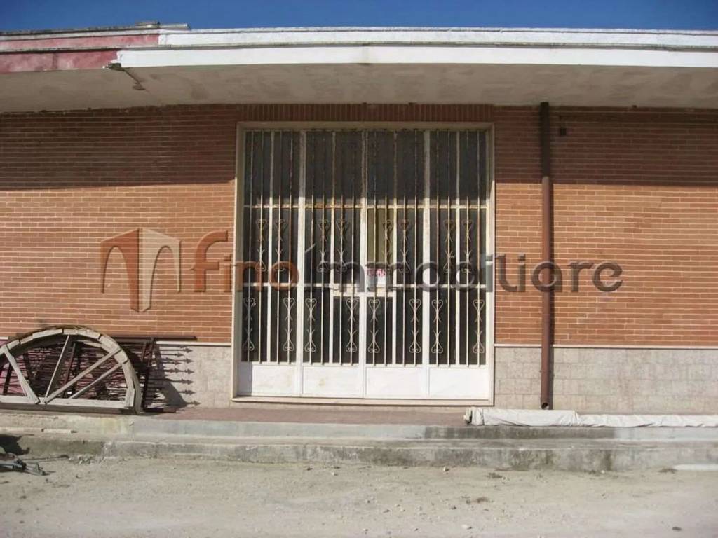 immagine annuncio 2 di 4