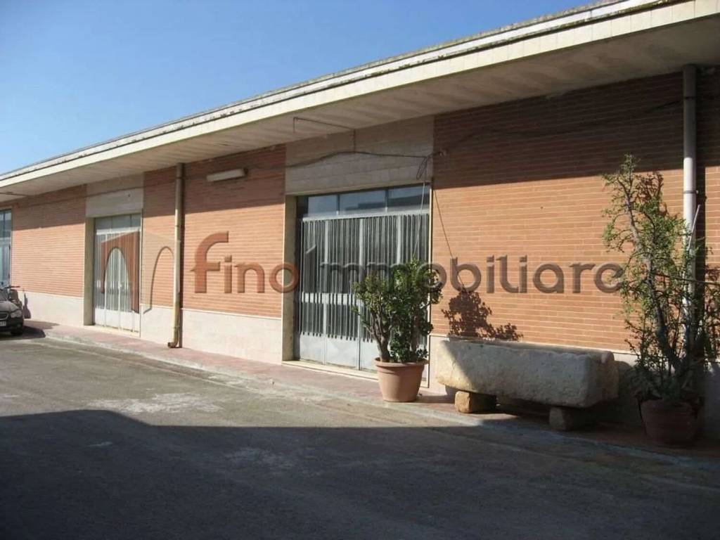 immagine annuncio 3 di 4