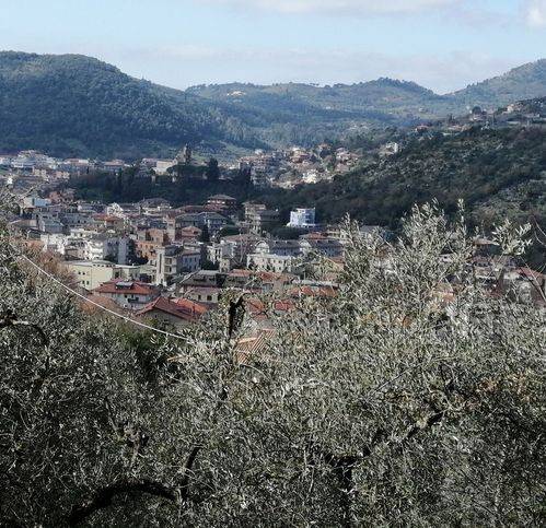 immagine annuncio 1 di 2