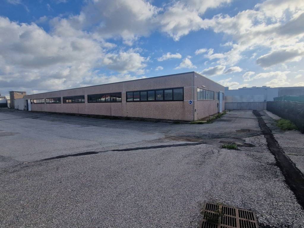 immagine annuncio 2 di 5