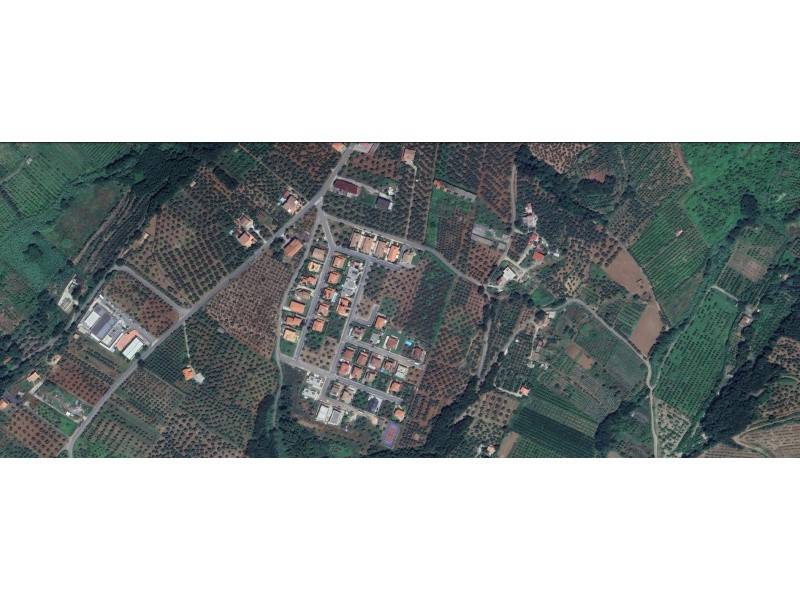 immagine annuncio 0 di 1