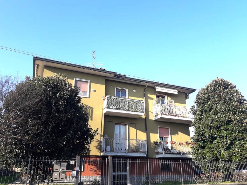 immagine annuncio 1 di 4