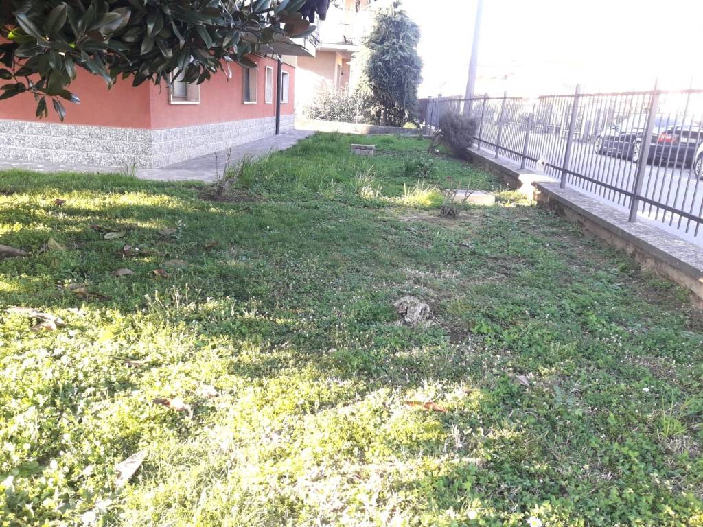 immagine annuncio 2 di 3