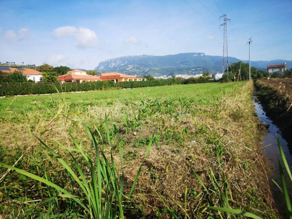 immagine annuncio 2 di 4