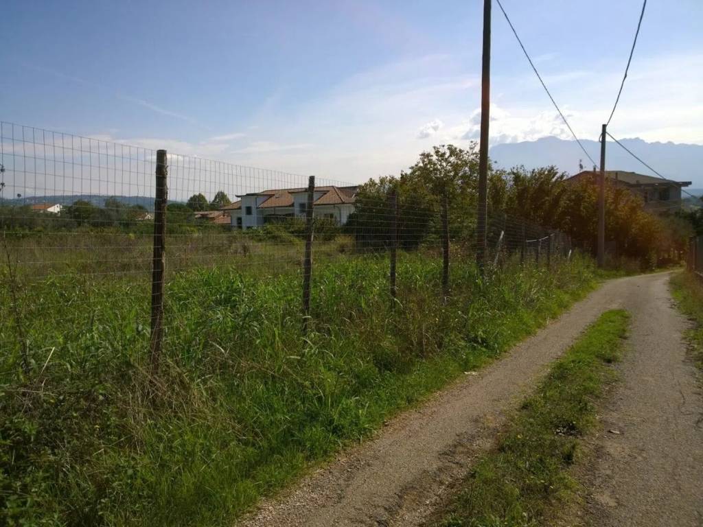 immagine annuncio 2 di 4