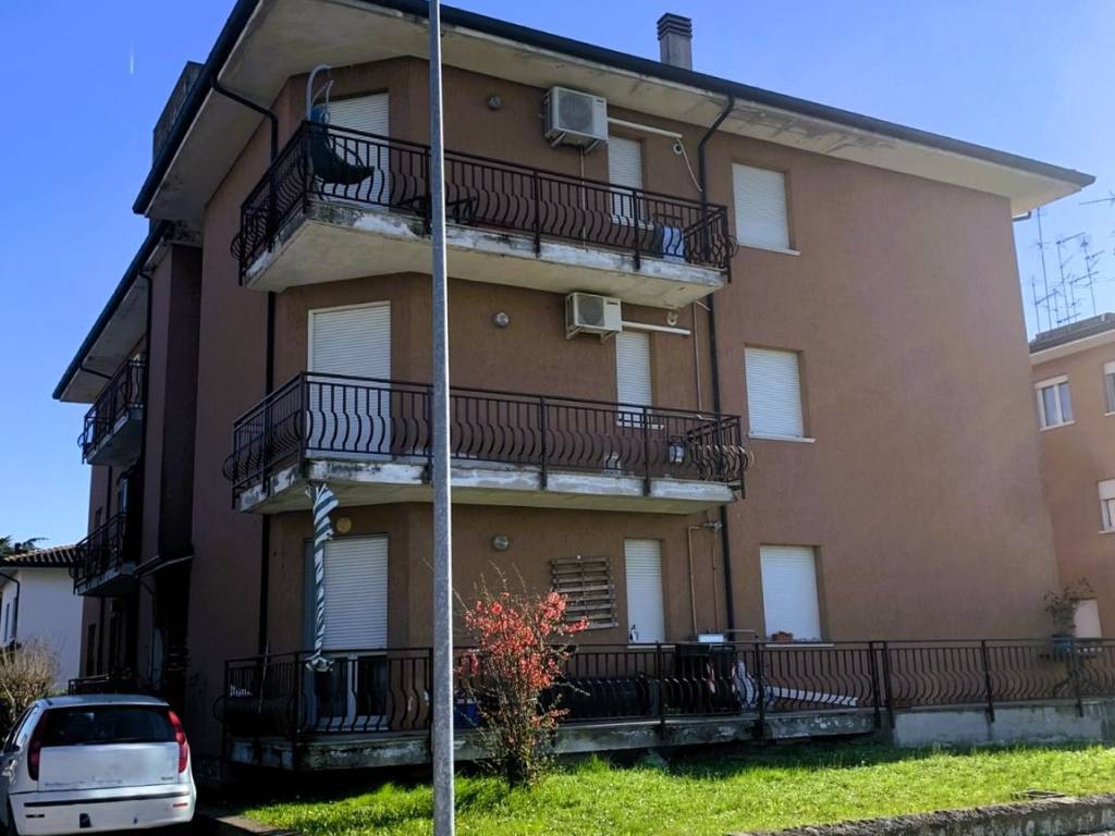 immagine annuncio 2 di 5