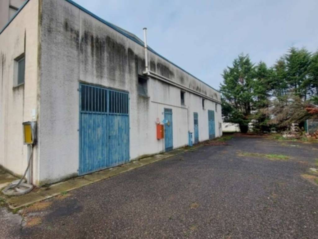 immagine annuncio 1 di 5