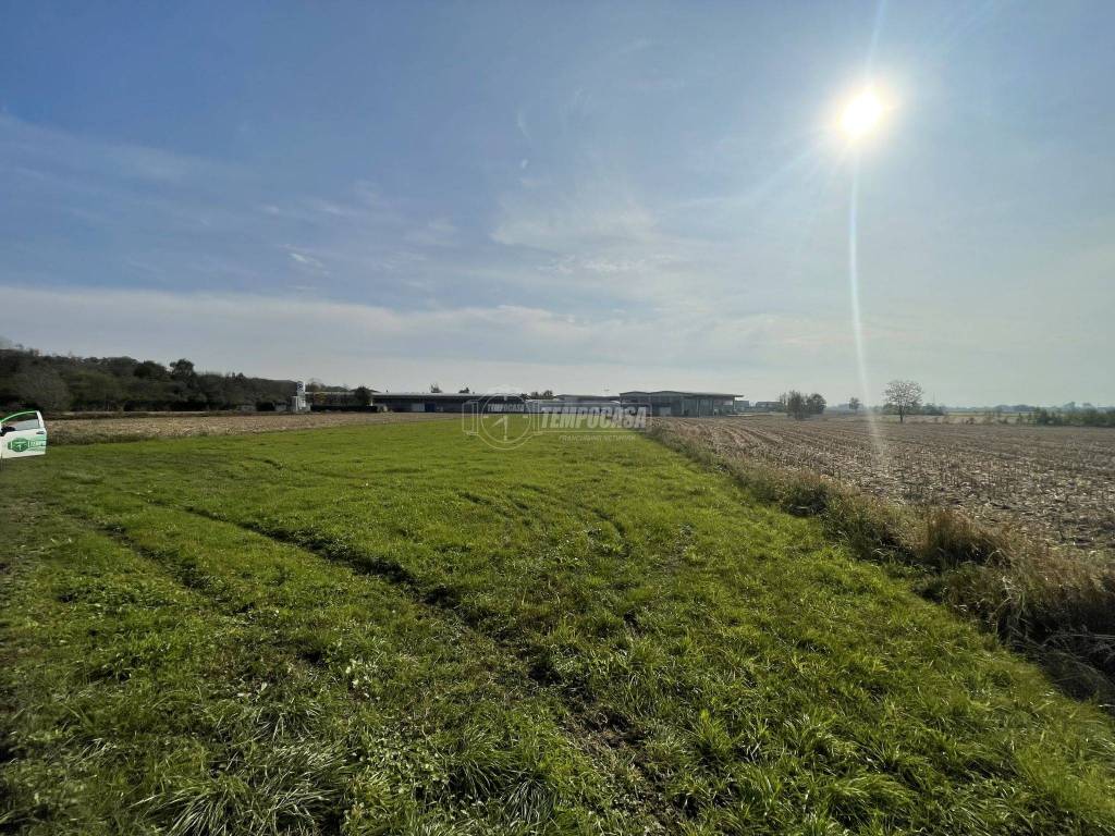 immagine annuncio 1 di 4