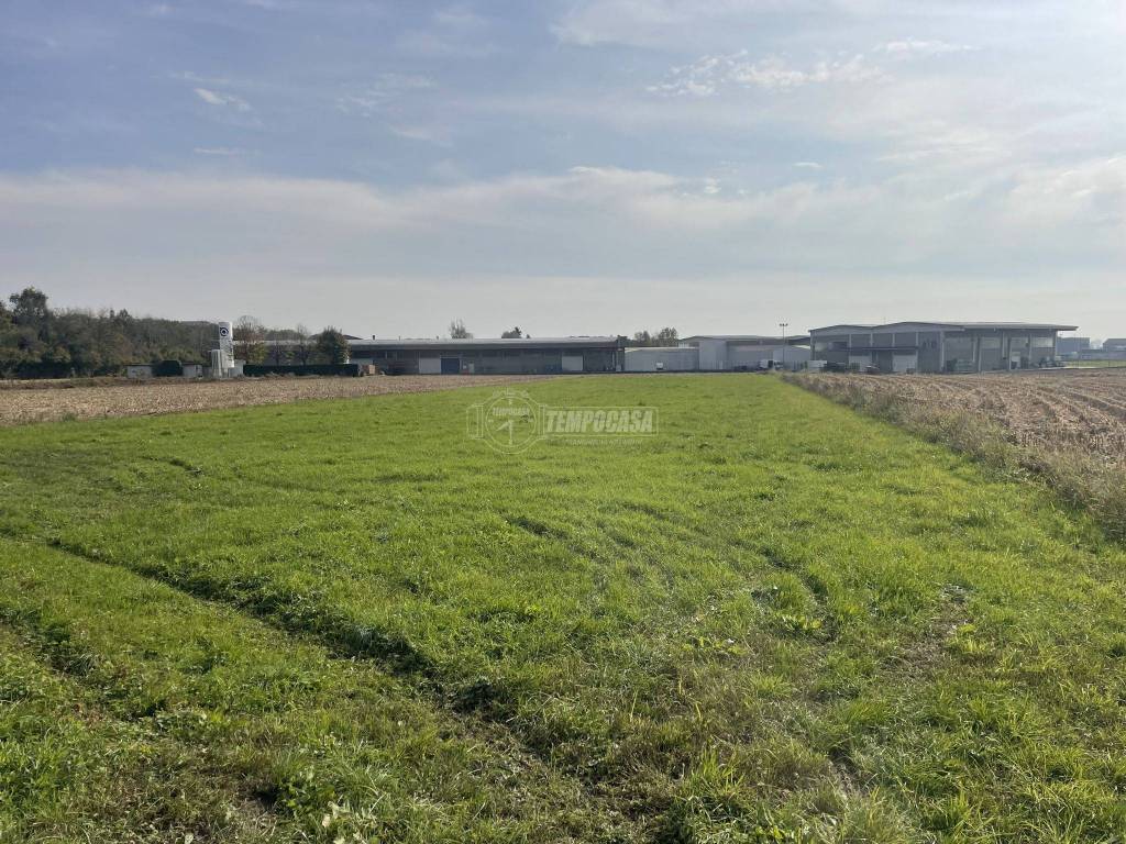 immagine annuncio 2 di 4