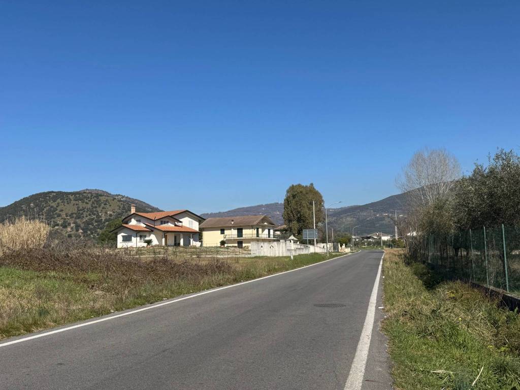 immagine annuncio 2 di 4