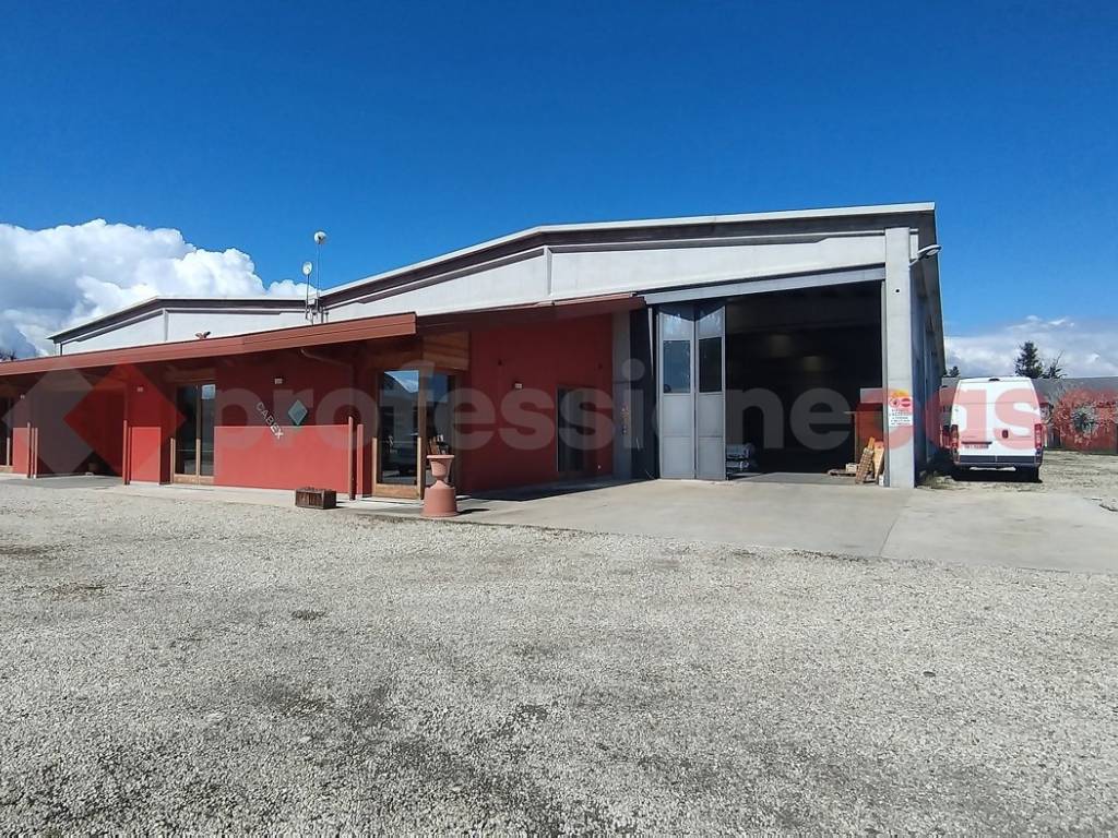 immagine annuncio 3 di 5