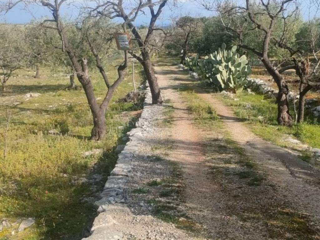 immagine annuncio 1 di 3