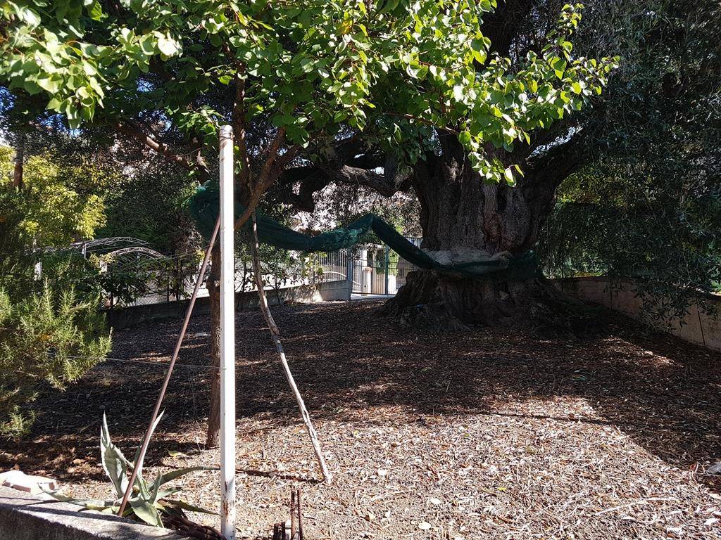 immagine annuncio 3 di 4