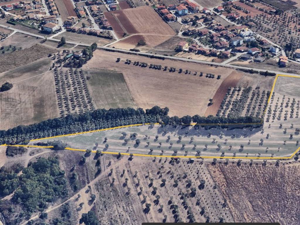 immagine annuncio 1 di 3