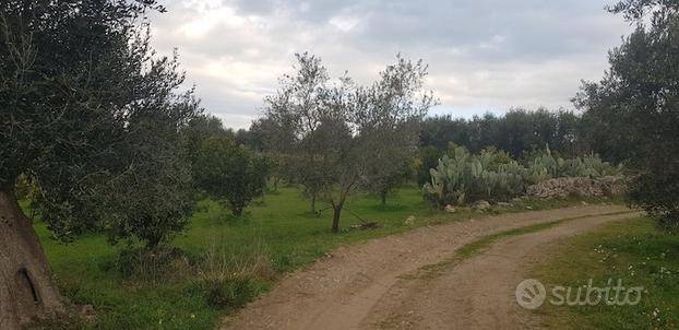 immagine annuncio 2 di 5