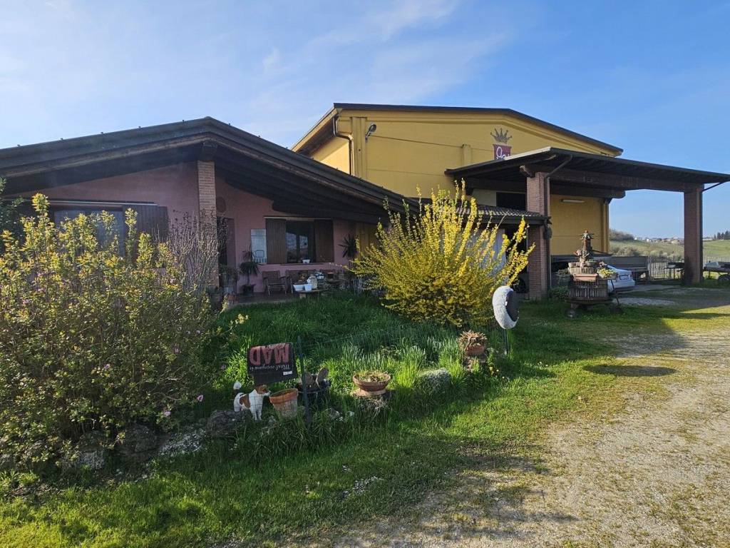 immagine annuncio 1 di 5