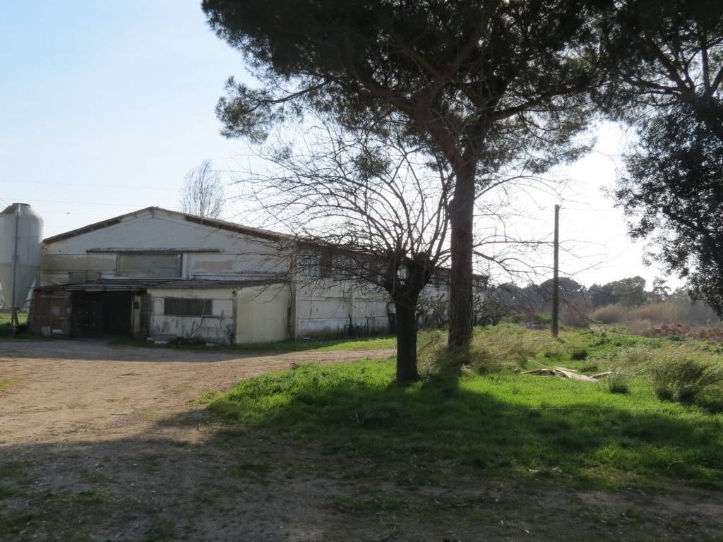 immagine annuncio 1 di 4