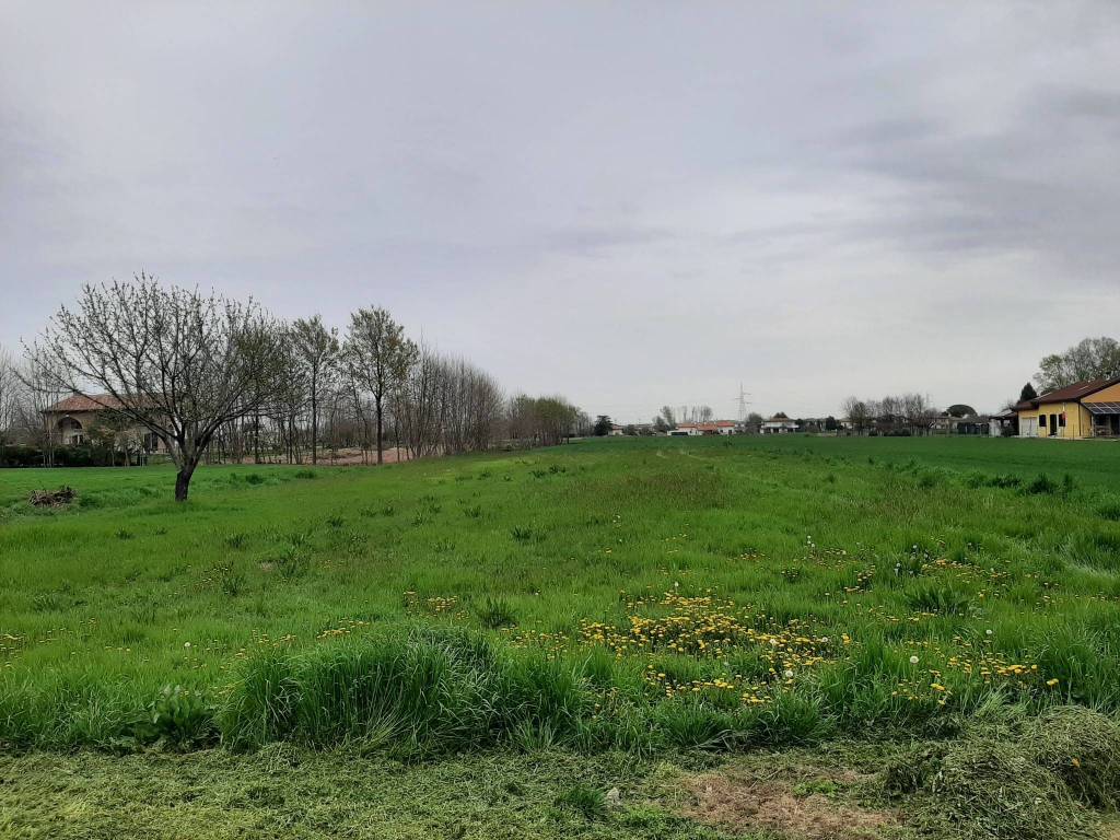 immagine annuncio 2 di 4