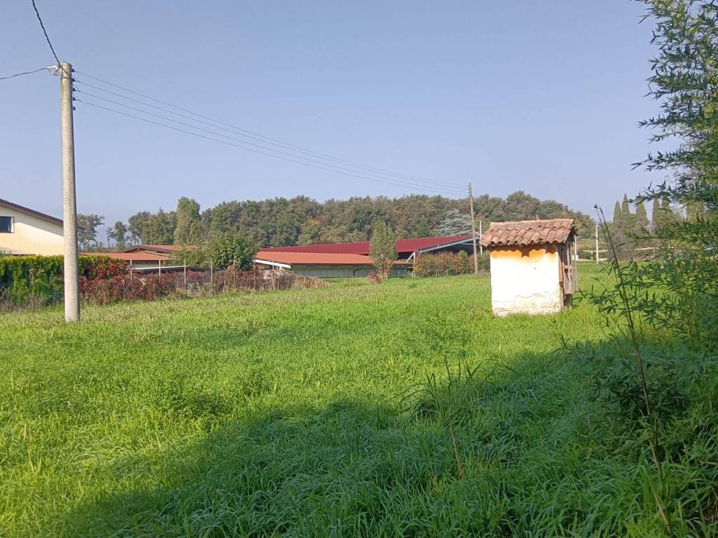 immagine annuncio 4 di 5