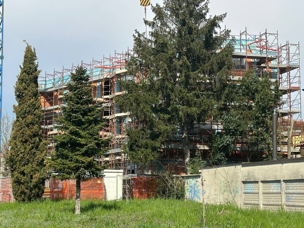 immagine annuncio 2 di 5