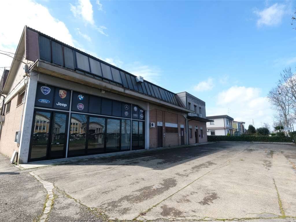 immagine annuncio 1 di 5