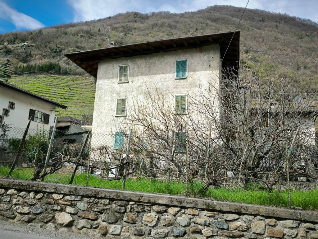 immagine annuncio 1 di 4