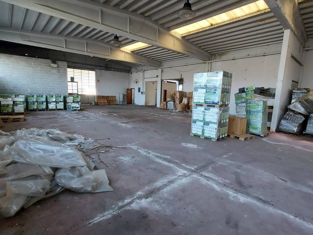 immagine annuncio 4 di 5