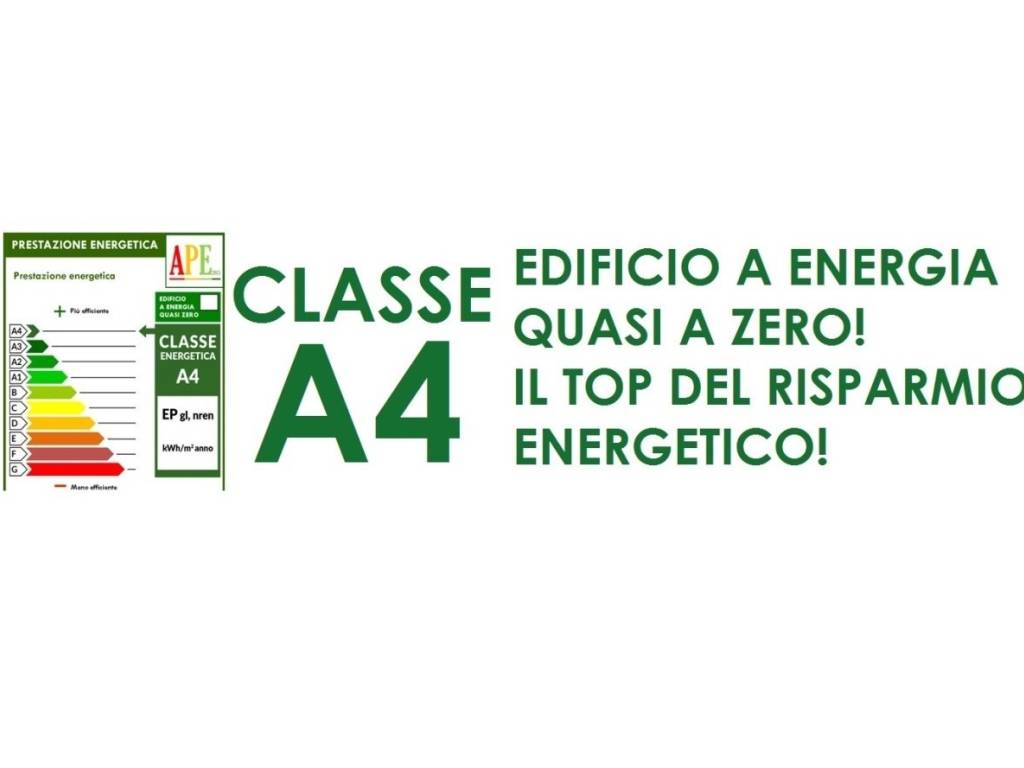 immagine annuncio 2 di 4