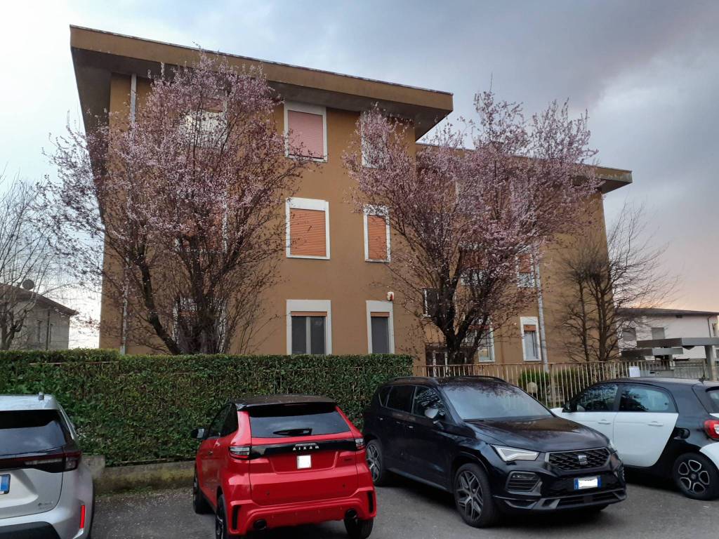 immagine annuncio 1 di 5