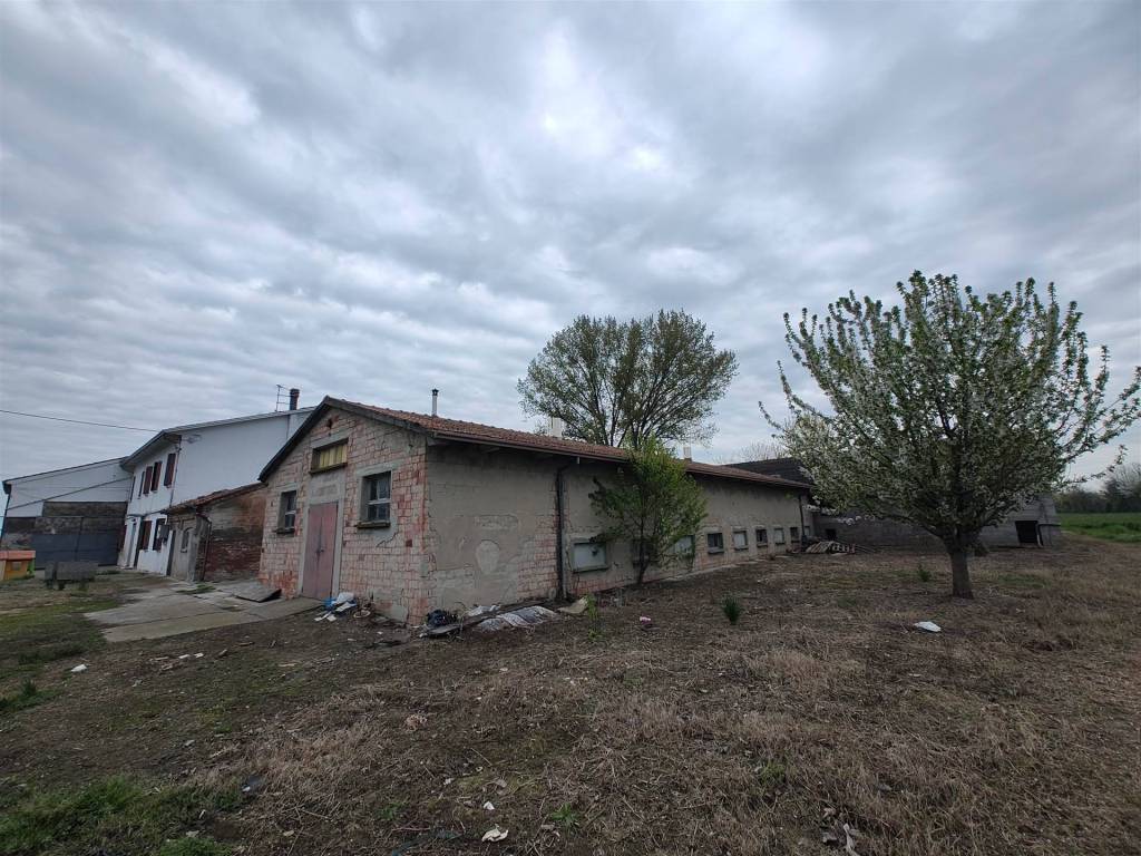 immagine annuncio 3 di 4