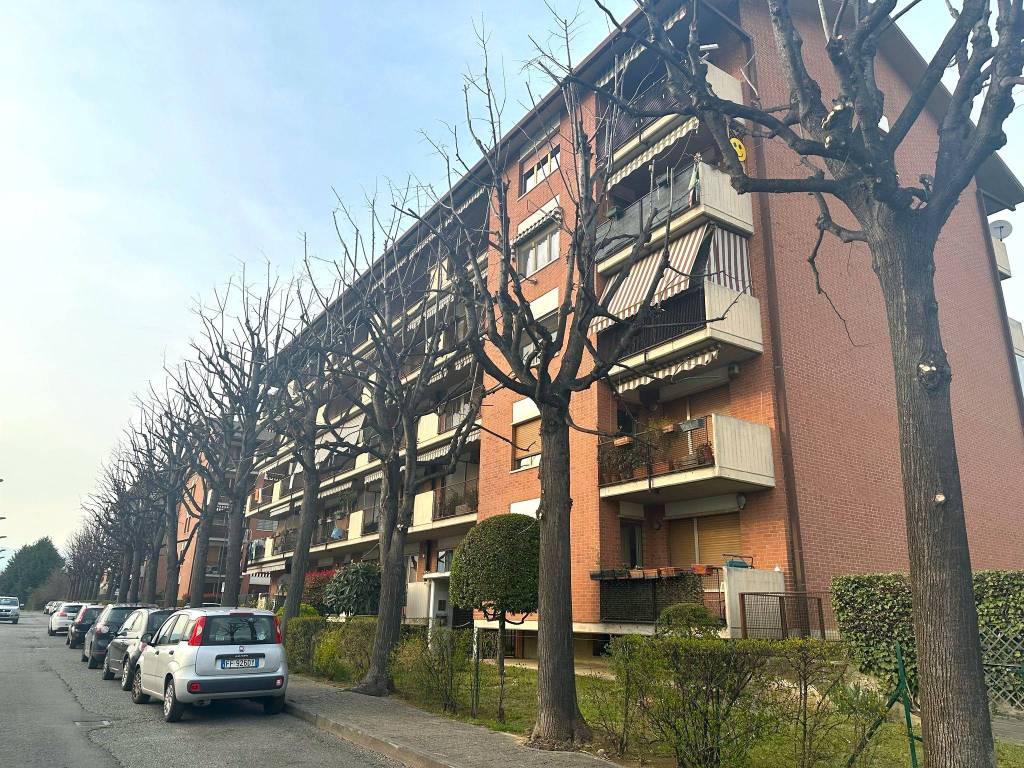 immagine annuncio 3 di 5