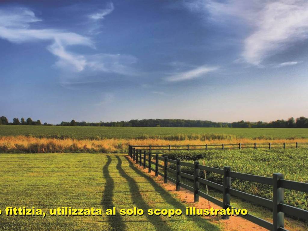 immagine annuncio 1 di 2