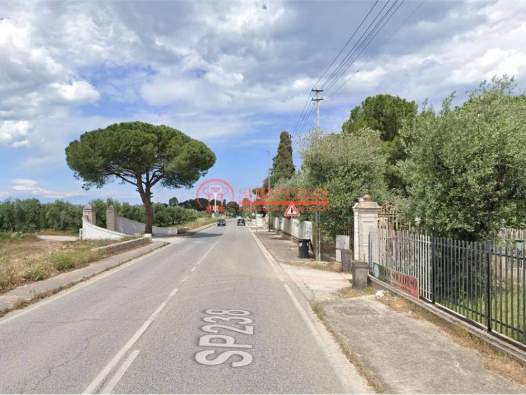 immagine annuncio 1 di 4