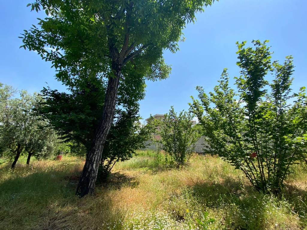 immagine annuncio 1 di 3