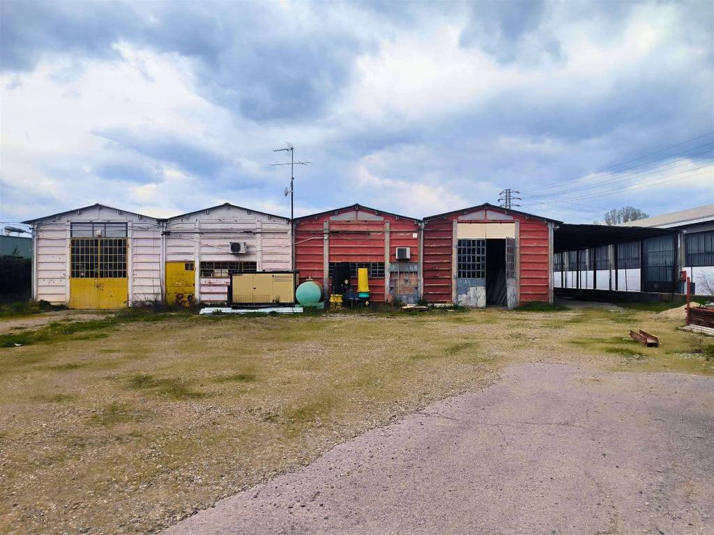 immagine annuncio 3 di 5