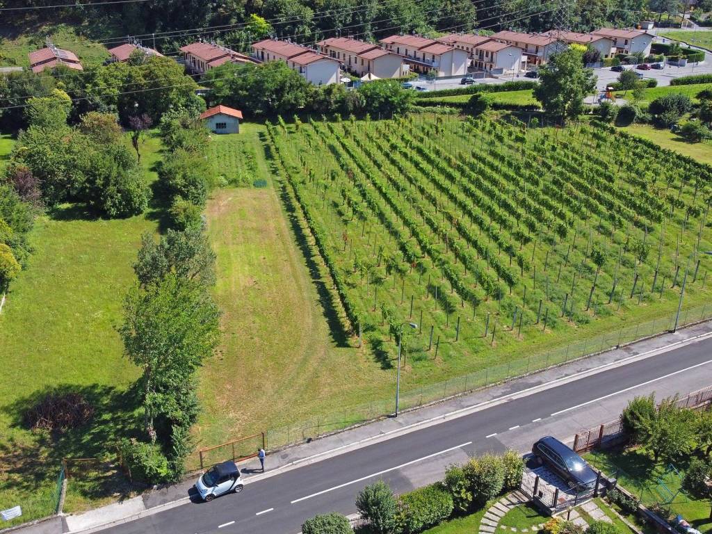 immagine annuncio 2 di 4