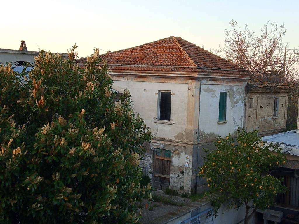 immagine annuncio 2 di 4