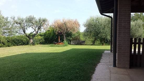 immagine annuncio 1 di 2