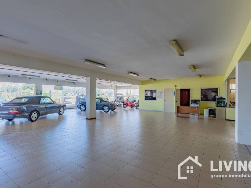 immagine annuncio 3 di 5