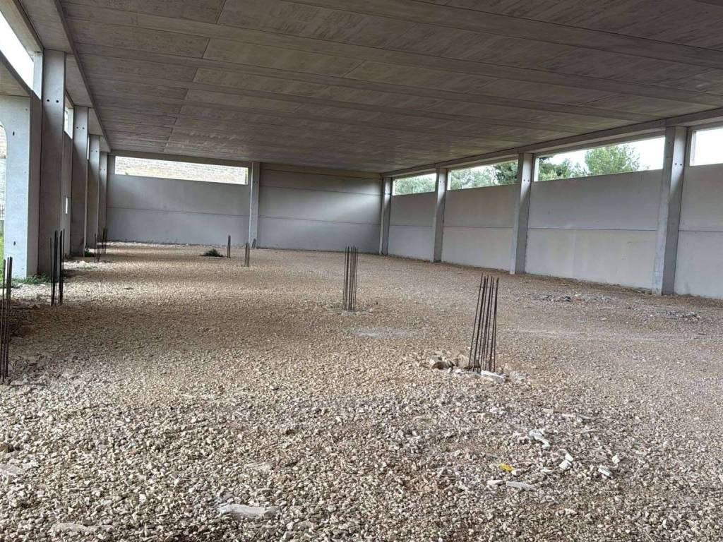 immagine annuncio 2 di 4
