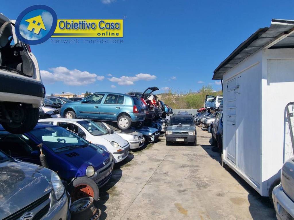 immagine annuncio 3 di 5