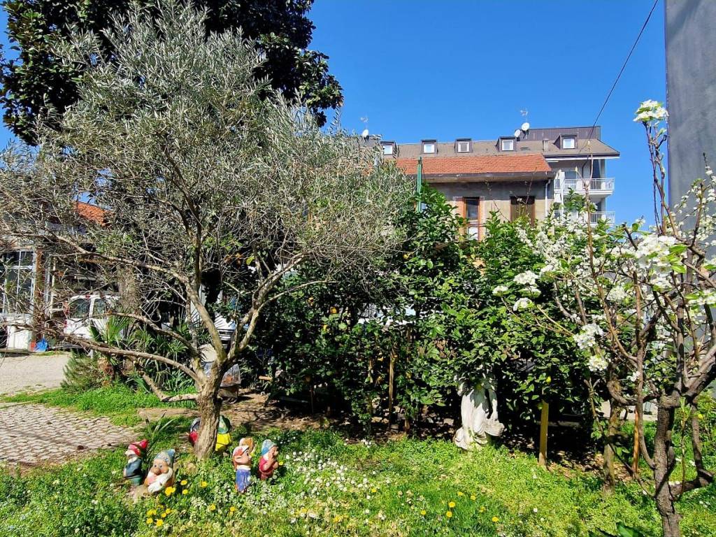 immagine annuncio 1 di 5
