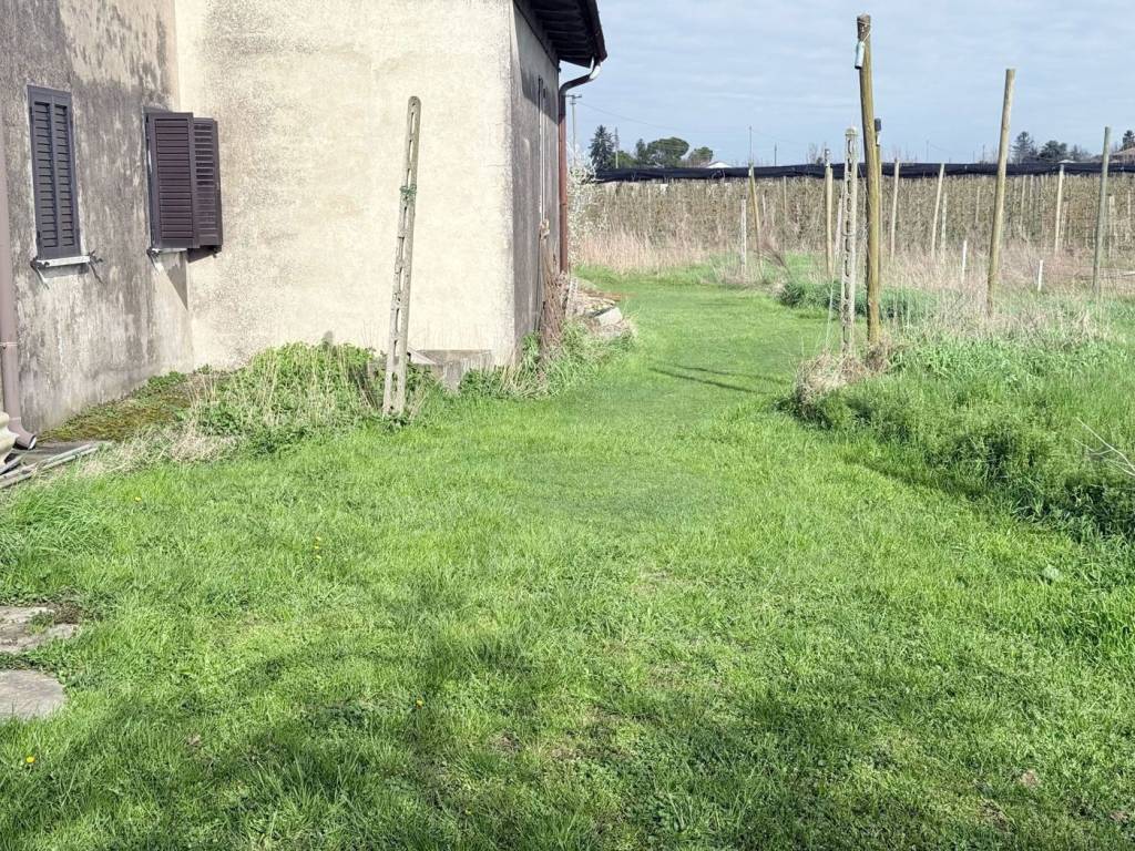 immagine annuncio 3 di 4